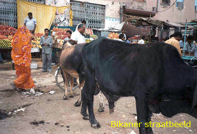 Bikaner